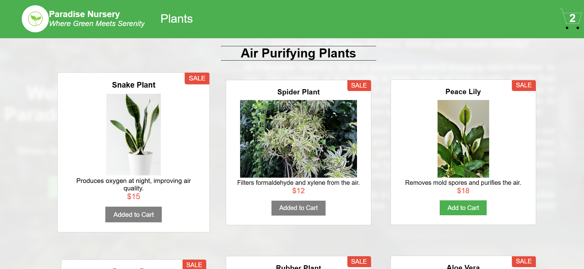 An image of the Paradise Nursery project.